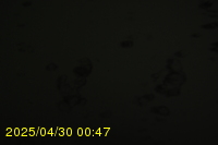 Img20250430_004718.jpg