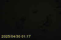 Img20250430_011719.jpg
