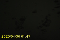 Img20250430_014719.jpg