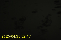 Img20250430_024719.jpg