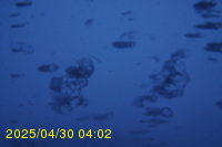 Img20250430_040219.jpg
