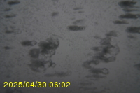 Img20250430_060219.jpg