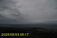 Img20250503_051727.jpg