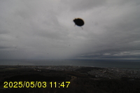 Img20250503_114728.jpg