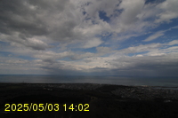 Img20250503_140228.jpg