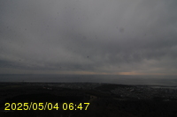 Img20250504_064730.jpg