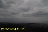 Img20250504_113231.jpg
