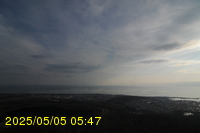 Img20250505_054733.jpg
