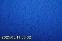 Img20250511_033249.jpg