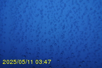 Img20250511_034749.jpg