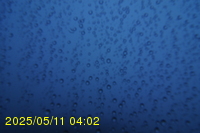 Img20250511_040249.jpg
