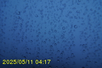 Img20250511_041749.jpg