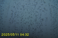 Img20250511_043249.jpg