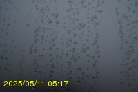 Img20250511_051749.jpg