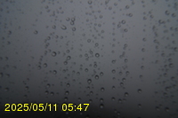 Img20250511_054749.jpg