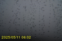 Img20250511_060250.jpg