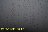 Img20250511_061750.jpg