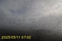 Img20250511_070250.jpg