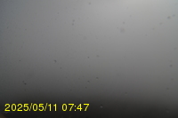 Img20250511_074750.jpg