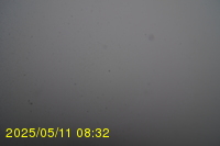 Img20250511_083250.jpg