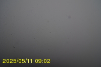 Img20250511_090250.jpg