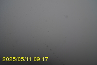Img20250511_091750.jpg