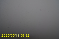 Img20250511_093250.jpg