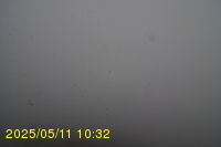 Img20250511_103250.jpg