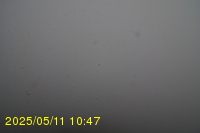 Img20250511_104750.jpg