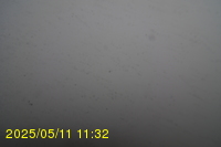 Img20250511_113250.jpg