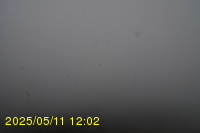 Img20250511_120250.jpg
