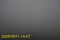 Img20250511_144751.jpg