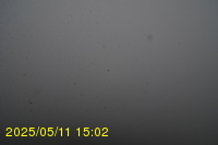 Img20250511_150251.jpg