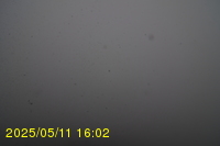 Img20250511_160251.jpg