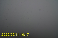 Img20250511_161751.jpg