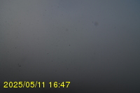 Img20250511_164751.jpg