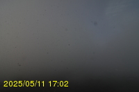 Img20250511_170251.jpg