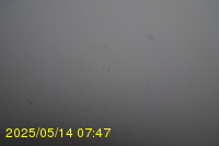 Img20250514_074758.jpg