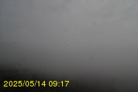 Img20250514_091758.jpg