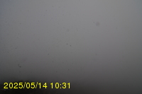 Img20250514_103127.jpg