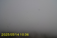 Img20250514_103627.jpg