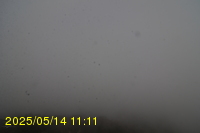 Img20250514_111127.jpg