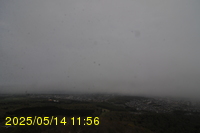 Img20250514_115627.jpg