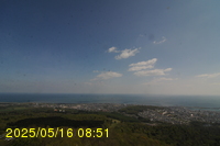 Img20250516_085135.jpg