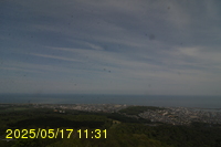 Img20250517_113139.jpg
