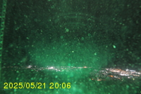 Img20250521_200657.jpg