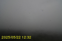 Img20250522_123200.jpg