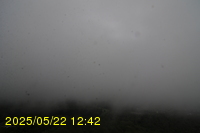 Img20250522_124200.jpg