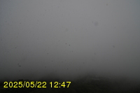 Img20250522_124700.jpg