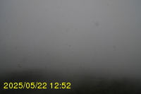 Img20250522_125200.jpg